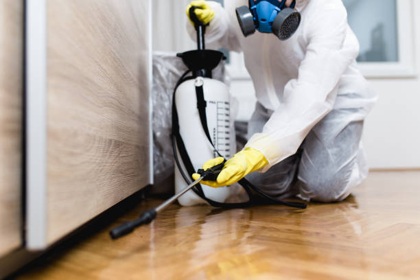 Best Cockroach Control Services  in Dalzell, SC