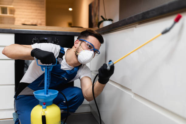 Best Emergency Pest Control  in Dalzell, SC