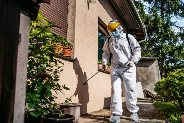 Best Local Pest Control Services  in Dalzell, SC