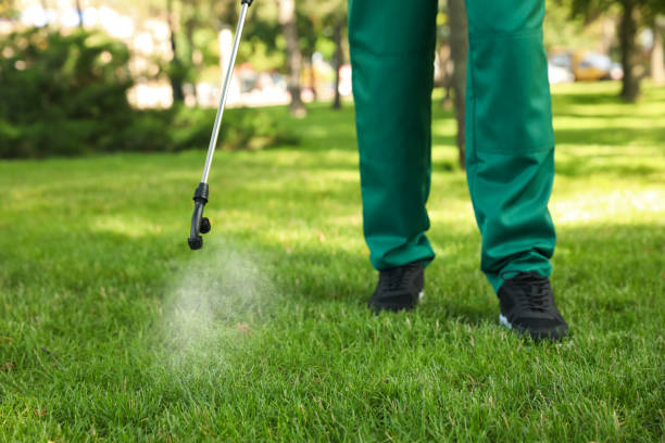 Best Ant Control Services  in Dalzell, SC