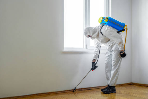 Best Affordable Pest Control Services  in Dalzell, SC