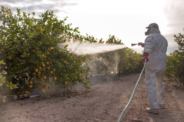 Best Pest Control Near Me in Dalzell, SC