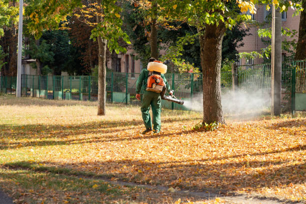 Best Pest Removal Services  in Dalzell, SC