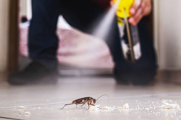 Trusted Dalzell, SC Pest Control Experts